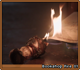 Bookshop Fire