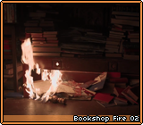 Bookshop Fire 02