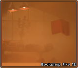 Bookshop Fire 12