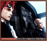 Delivering Packages