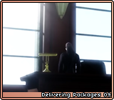 Delivering Packages 09