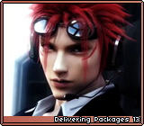 Delivering Packages 13