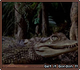 Get it Gordon 11