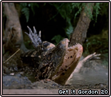Get it Gordon 20
