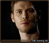 I’m Sorry 13