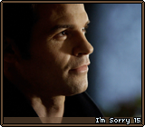 I’m Sorry 15