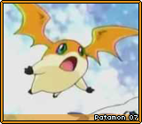 Patamon 07