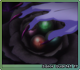 Sailor Quartet 17