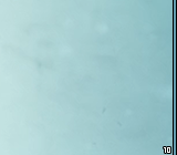 Saving Hope Logo